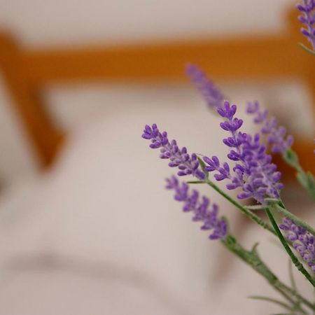 Guesthouse Night&Day 苏博蒂察 外观 照片